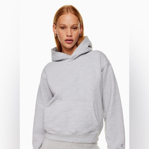 TNA Aritzia Cozy Fleece Perfect Fit Hoodie Sweatshirt Medium M Gray Pullover - Picture 1 of 14